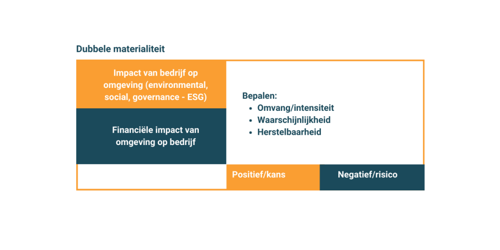 dubbele materialiteit