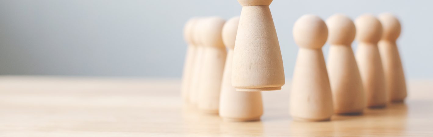 ERP consultant